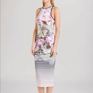 Ted Baker Women's Laya Pure Peony Striped Midi Dress